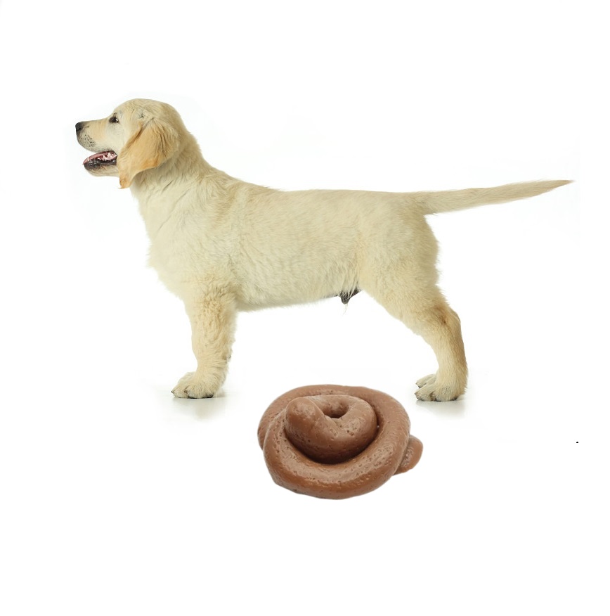 Lustiges Scherz-Kot-Squishy-Sp – Fake Poop Gag Gift Bewertung und Preis